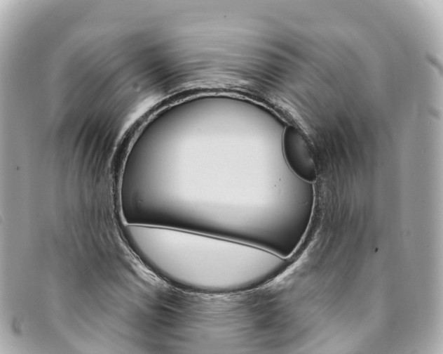 X0000094231114200710261008