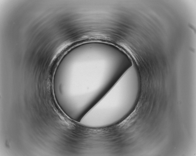 X0000094231115200710261008