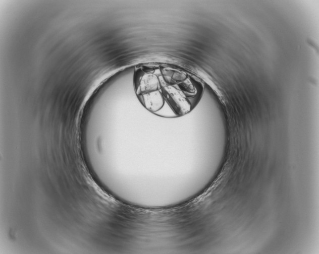 X0000094231116200710261008