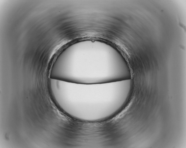 X0000094231117200710261008