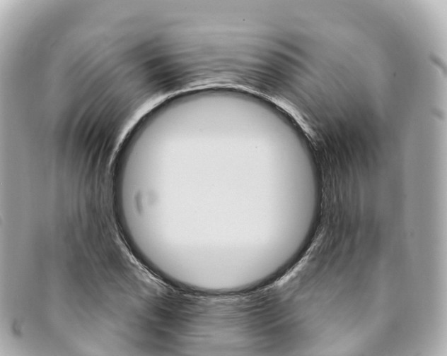 X0000094231118200710261008