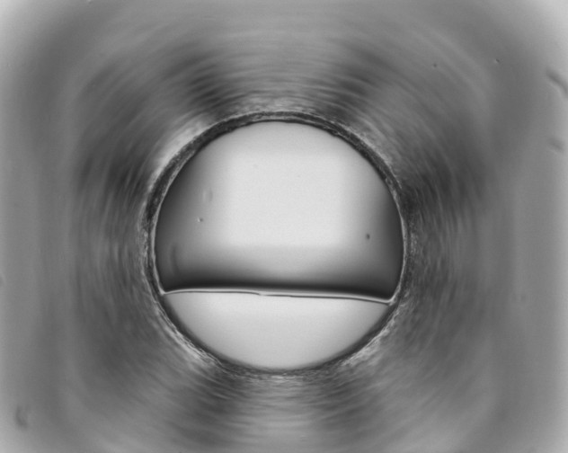 X0000094231119200710261008
