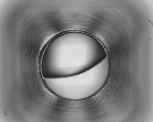 X0000094231120200710261008