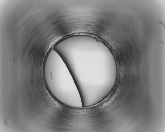 X0000094231121200710261008