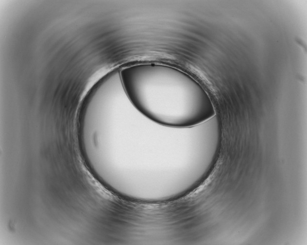 X0000094231122200710261008