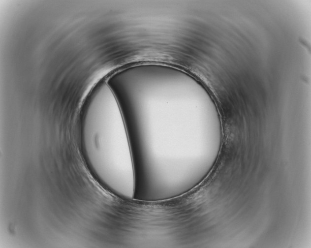 X0000094231123200710261008