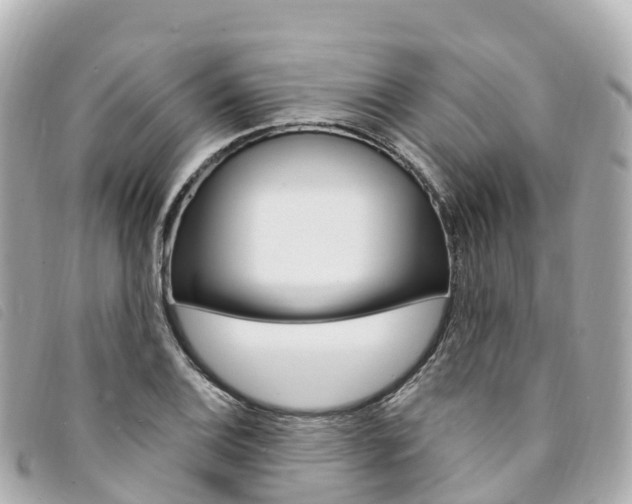 X0000094231124200710261008