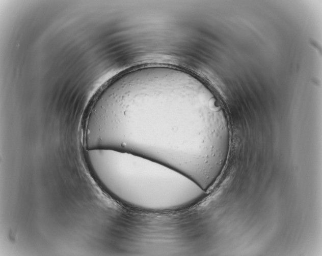 X0000094231125200710261008
