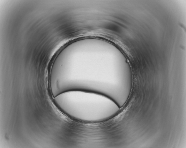 X0000094231126200710261008