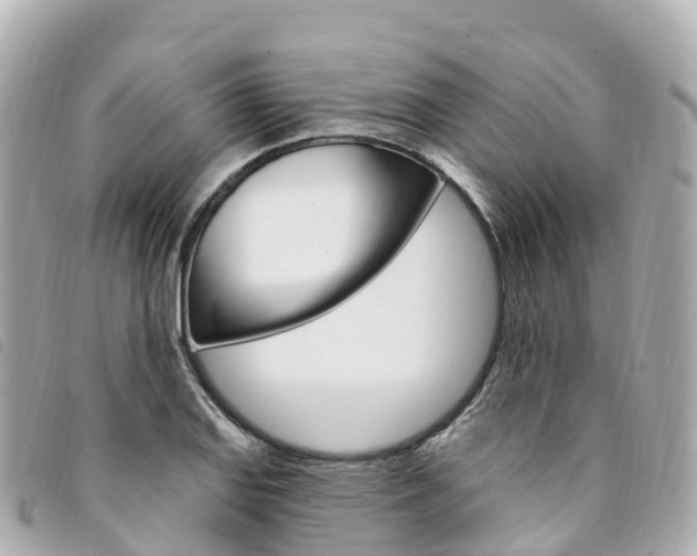 X0000094231127200710261008