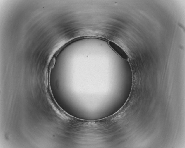 X0000094231128200710261008