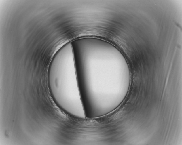 X0000094231129200710261008