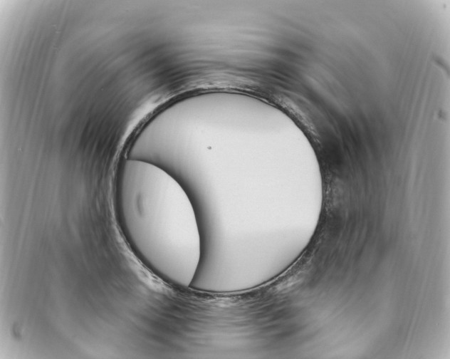 X0000094231130200710261008