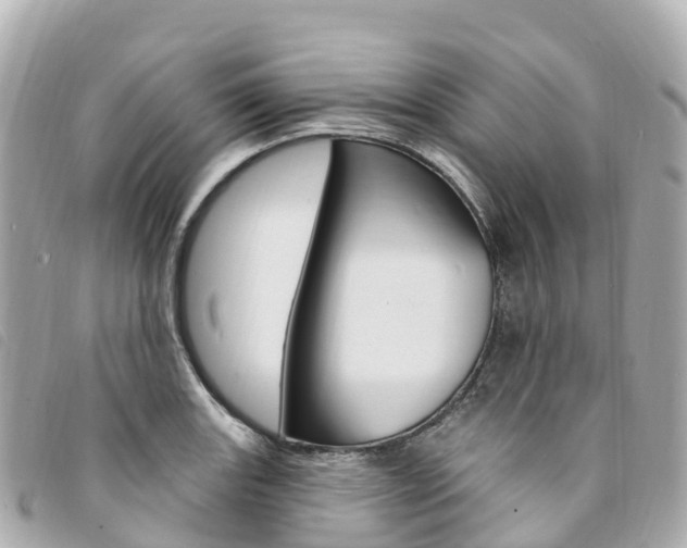 X0000094231131200710261008