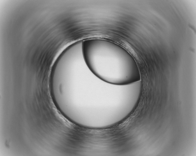 X0000094231132200710261008