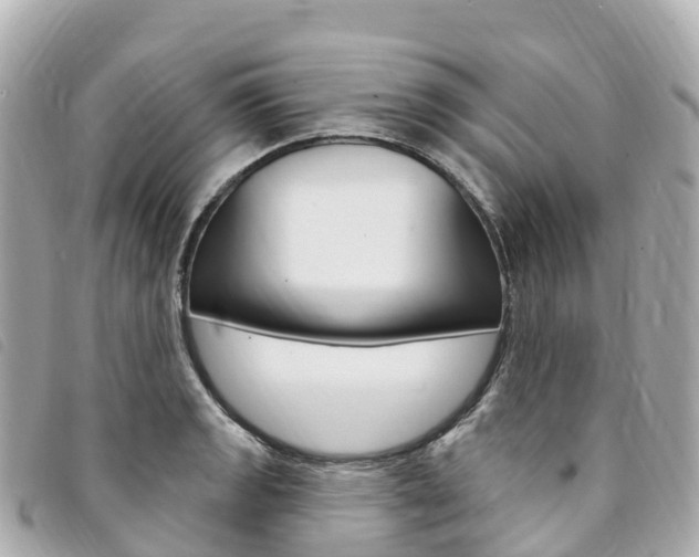 X0000094231133200710261008