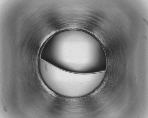 X0000094231134200710261008