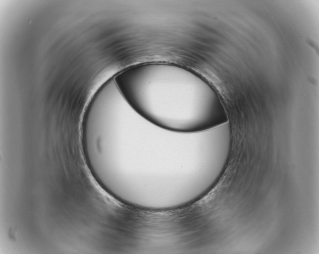 X0000094231135200710261008