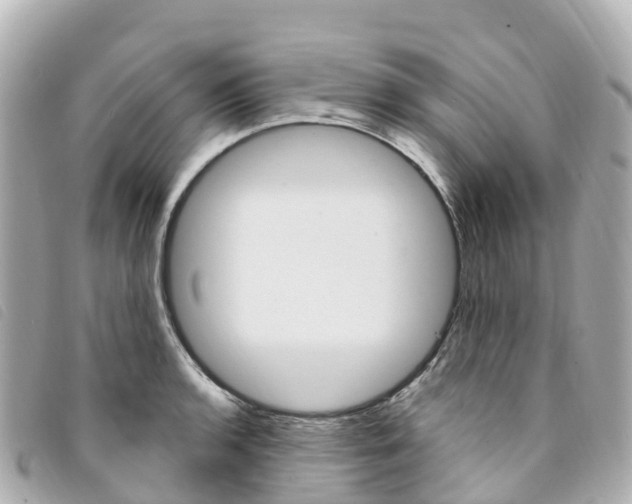 X0000094231136200710261008