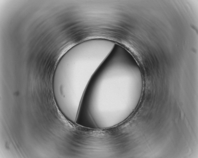 X0000094231137200710261008