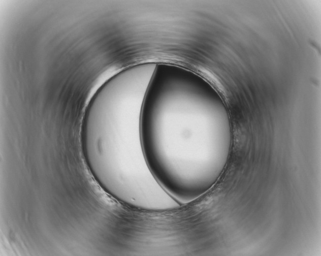 X0000094231138200710261008