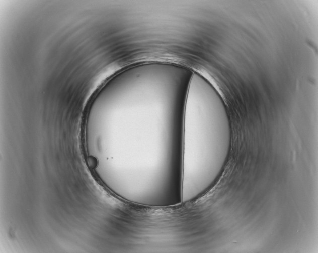 X0000094231139200710261008