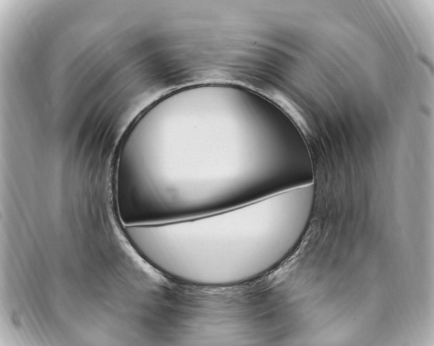 X0000094231142200710261008