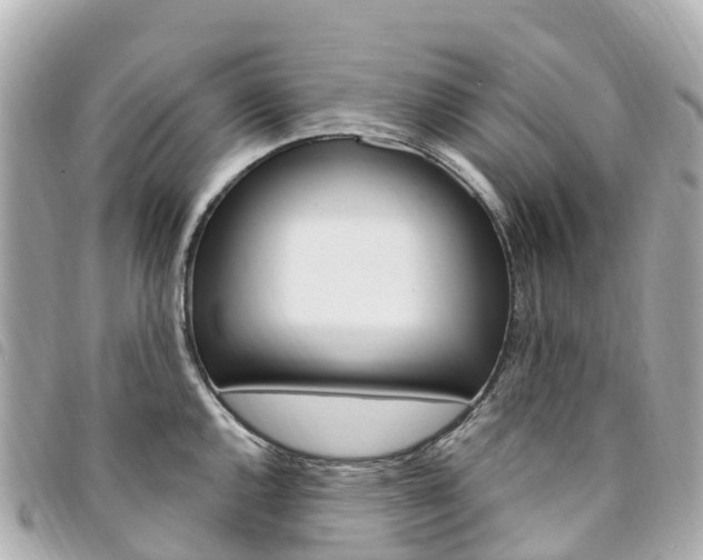 X0000094231144200710261008