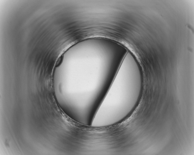 X0000094231145200710261008