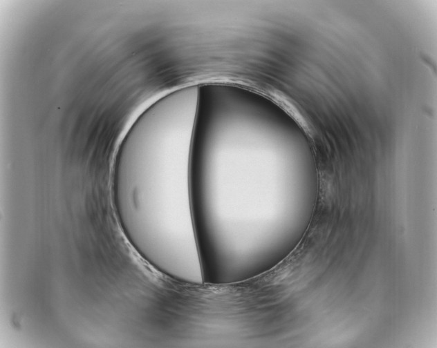 X0000094231148200710261008