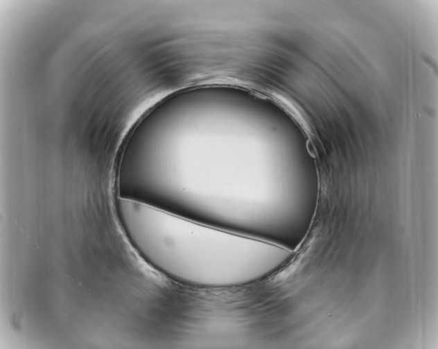 X0000094231149200710261008