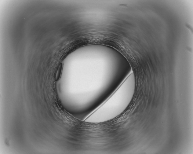 X0000094231153200710261008