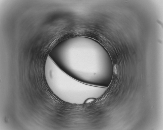 X0000094231155200710261008