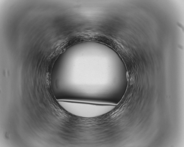 X0000094231156200710261008