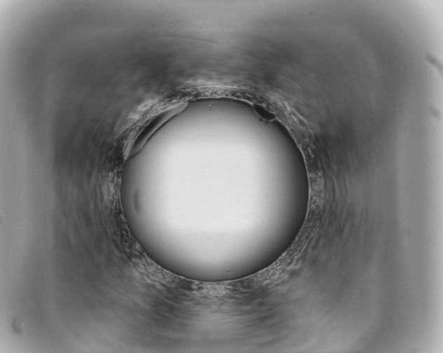 X0000094231157200710261008