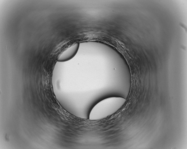 X0000094231158200710261008