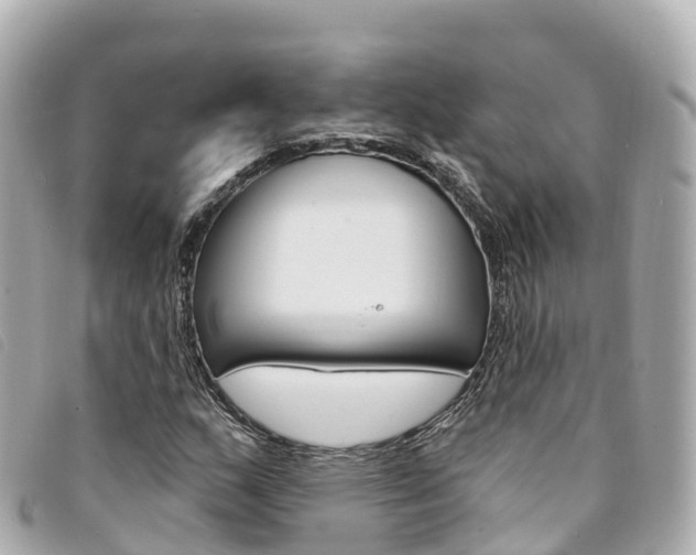 X0000094231159200710261008