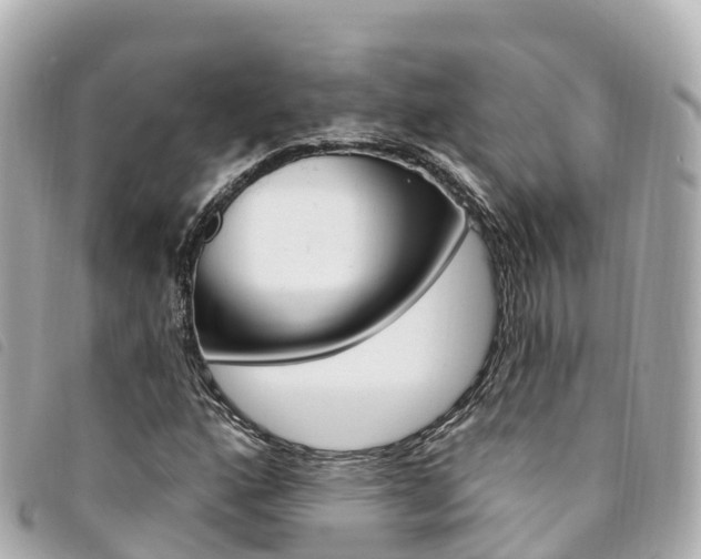 X0000094231160200710261008