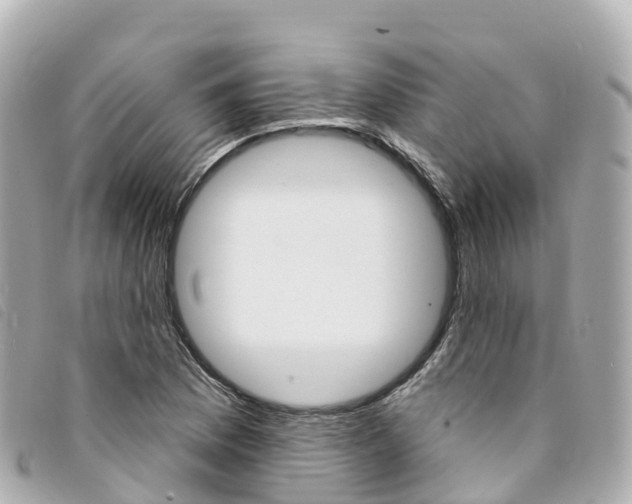 X0000094231169200710261007