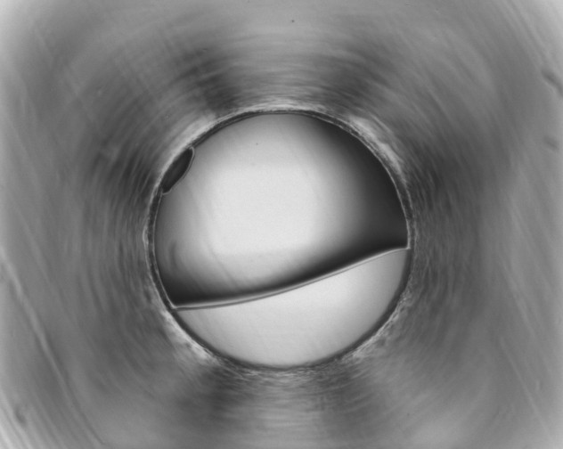 X0000094231189200710261007