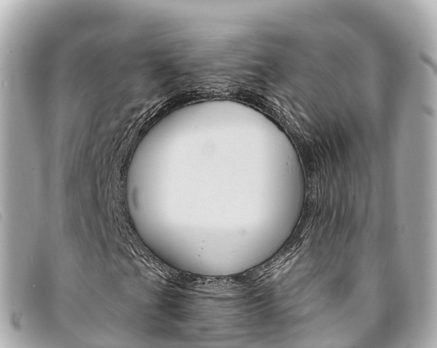 X0000094231201200710261006
