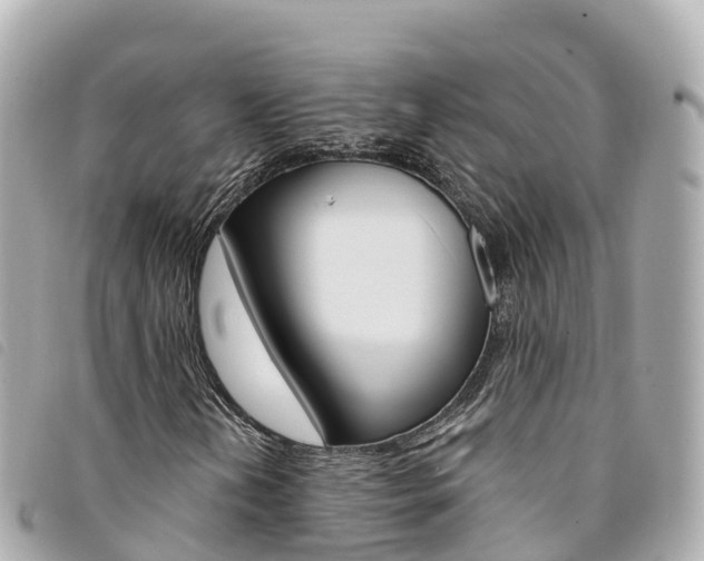 X0000094231202200710261006
