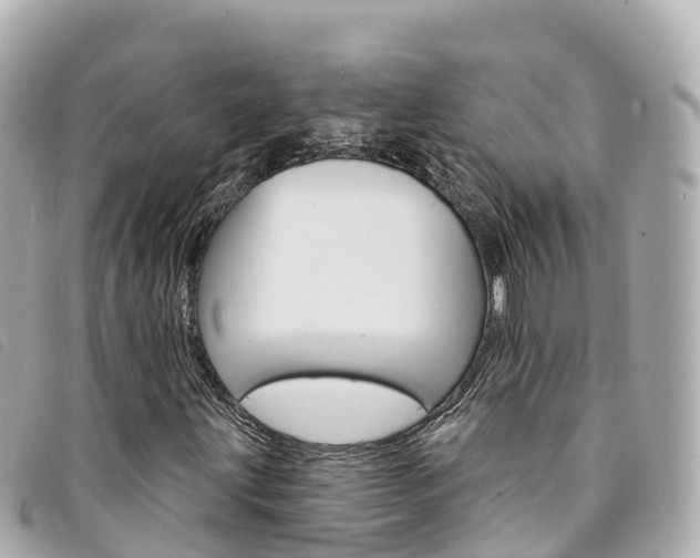 X0000094231203200710261006