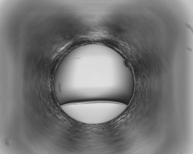 X0000094231205200710261007