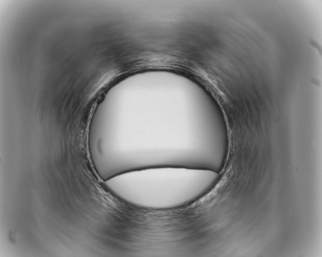 X0000094231211200710261007