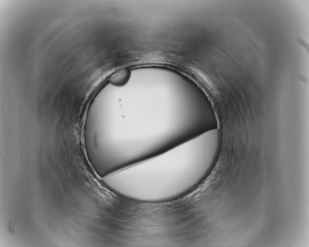 X0000094231212200710261007