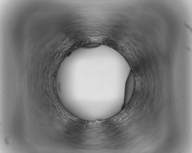 X0000094231249200710261006
