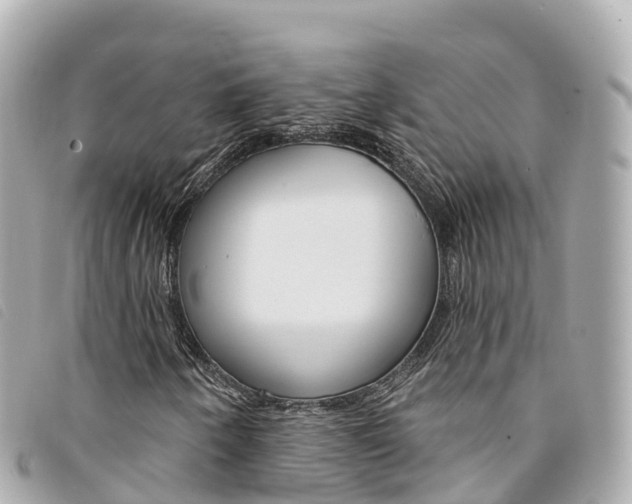 X0000094231250200710261006