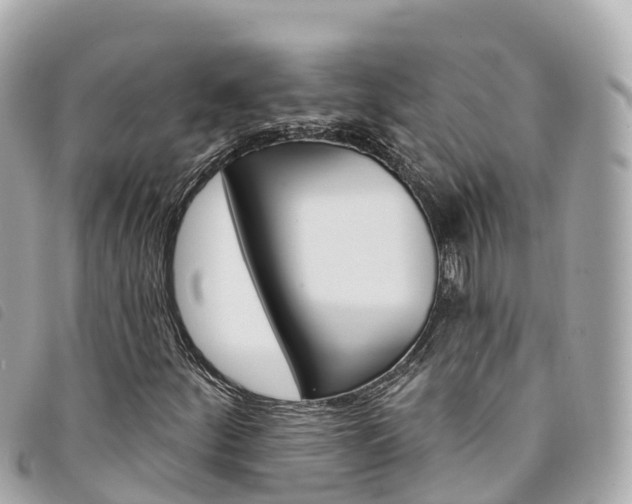X0000094231252200710261006