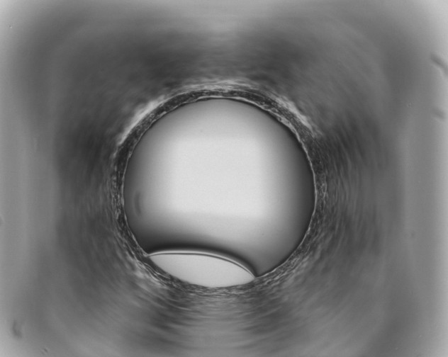 X0000094231256200710261006